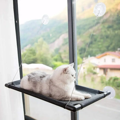 Hamac Chat - PetCatHangingBed™ - Noir - Amour du chat
